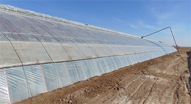 和林格爾現代農業(yè)示范園區