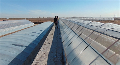 內蒙古農業(yè)大學(xué)海流圖科研教學(xué)示范基地