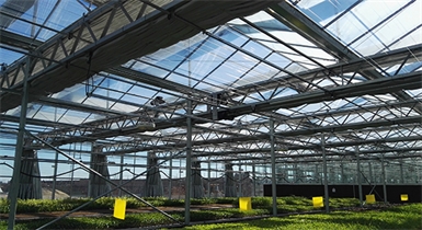 包頭市農業(yè)科學(xué)研究所智能溫室項目