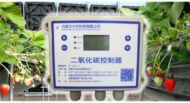 中國北方CO?新技術(shù)，將促進(jìn)農作物光合作用和光合產(chǎn)物的生成