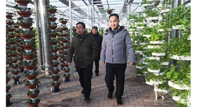 包頭市人大代表團為“水蓄熱內保溫裝配式日光溫室”點(diǎn)贊