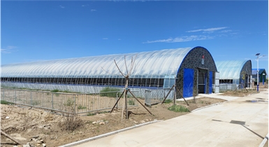 準格爾旗現代化肉羊設施養殖標桿場(chǎng)