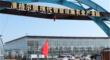 準格爾旗現代智慧設施農業(yè)產(chǎn)業(yè)園