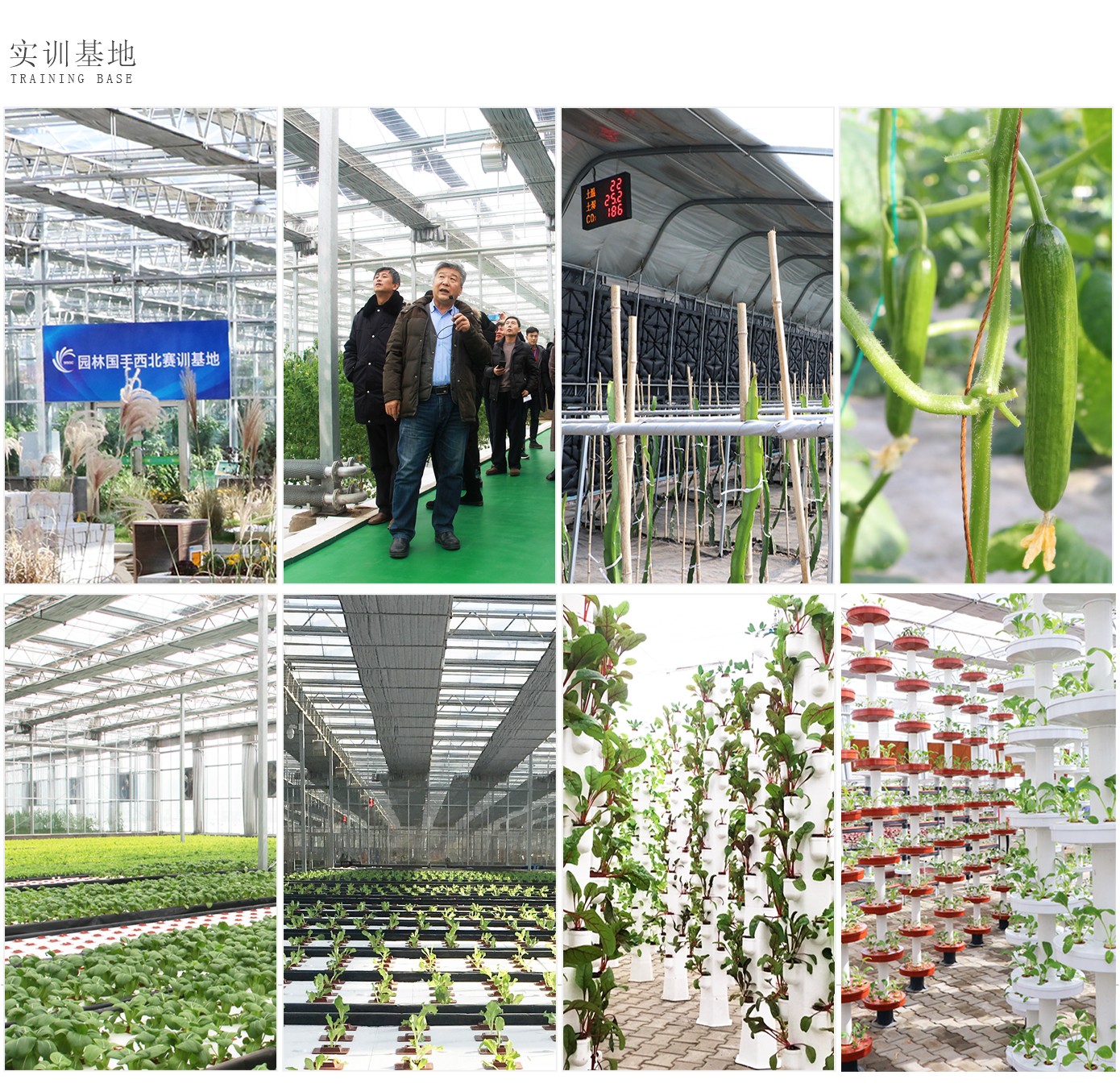 人才培養1920實(shí)驗2_13.jpg 人才培養1920實(shí)驗2_13.jpg