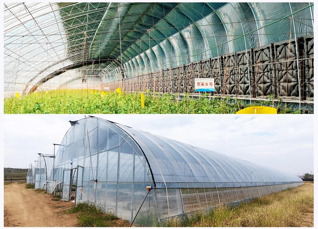石拐區現代智慧設施農業(yè)產(chǎn)業(yè)園_07.jpg 石拐區現代智慧設施農業(yè)產(chǎn)業(yè)園_07.jpg
