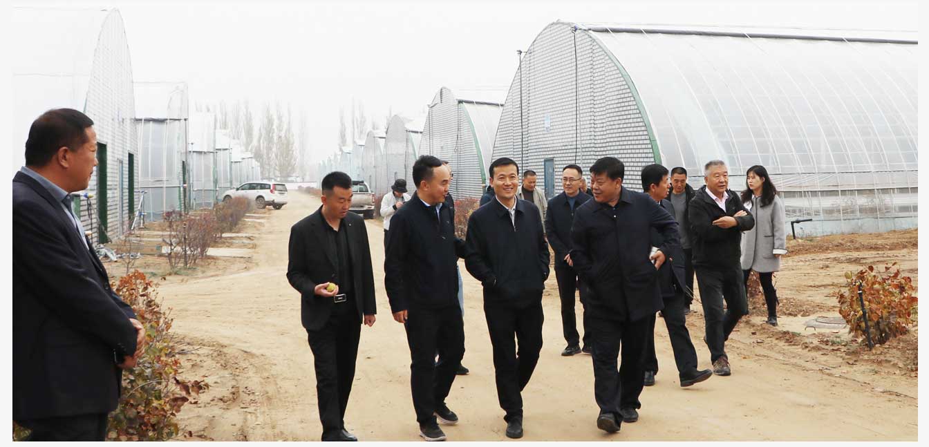 準格爾旗現代智慧設施農業(yè)產(chǎn)業(yè)園（網(wǎng)頁(yè)）_27.jpg