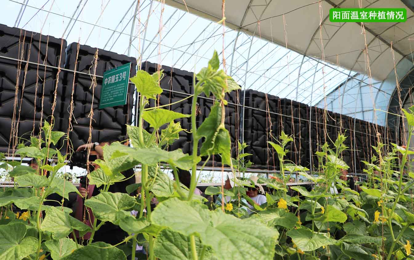 2、四季溫室網(wǎng)頁(yè)_12.jpg