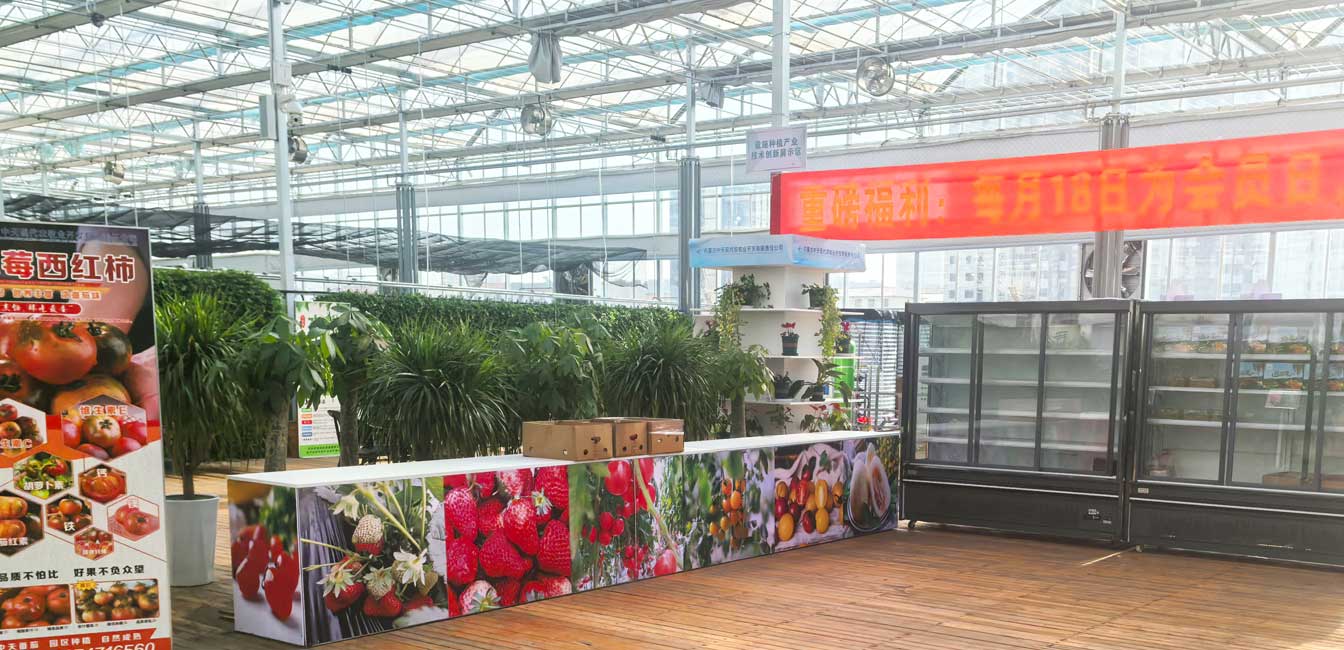 自治區綠色優(yōu)質(zhì)果蔬展銷(xiāo)中心psd-恢復的_12.jpg